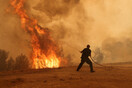 Αγωνία για τις φωτιές σε Πάρνηθα, Αλεξανδρούπολη και Βοιωτία- Επίφοβες οι ριπές για αναζωπύρωση