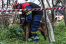 Η Έλσα, ο Δίας, ο Νώε- Η ανάρτηση της πυροσβεστικής για τους σκύλους της ΕΜΑΚ