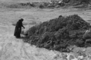 Ξεκινάει η εικαστική έκθεση «Ελαιώνας ‘23 – Χθόνιο και Ανθρωπόκαινος» στην περιοχή Μαρκόνι μέσα και γύρω του σταθμού μετρό Ελαιώνας 