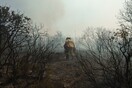Φωτιά στον Έβρο: Η πύρινη επέλαση μέρα- μέρα, από δορυφορικές εικόνες- Στάχτη 812.000 στρέμματα