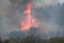 Φωτιά στον Έβρο: Μήνυμα του 112 για εκκένωση περιοχής