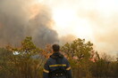 Φωτιά στον Έβρο: Καίγεται ο μικρός πυρήνας του δάσους της Δαδιάς- 81 πυρκαγιές σε όλη την επικράτεια