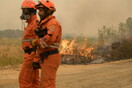 Φωτιά στον Έβρο: Συνεχίζεται η μάχη με τις φλόγες- «Συγκρατημένα αισιόδοξοι» στην πυροσβεστική