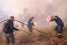 Φωτιά στη Μεσσηνία- «Οριοθετημένη κατά 80%» η πυρκαγιά στον Έβρο