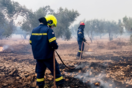 Χωρίς ενεργά μέτωπα η φωτιά στον Έβρο- Επιστρέφουν σπίτια τους οι κάτοικοι της Λευκίμμης