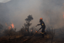 Εντοπίστηκε απανθρακωμένη σορός σε δάσος στα Λεχαινά