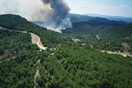 Αποτίμηση επιπτώσεων από την πυρκαγιά στο Εθνικό Πάρκο Δάσους Δαδιάς - Λευκίμης Σουφλίου