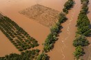 Πλημμύρες: Στη λάσπη η Θεσσαλία για 10η μέρα - Αφόρητη δυσοσμία από νεκρά ζώα και λιμνάζοντα νερά