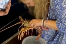 Τουρίστρια πλήρωσε 200€ για αστακό σε εστιατόριο και τον απελευθέρωσε στη θάλασσα