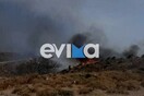 Σε εξέλιξη η φωτιά στην Κάρυστο - Συνεχίζεται η μάχη της Πυροσβεστικής