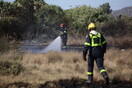 Φωτιά τώρα στο Πήλιο- Επιχειρούν εναέρια μέσα