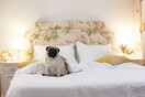 Luxury Studios and Apartments Gatto Perso