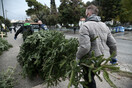 Θεσσαλονίκη: Ξεκινάει από 8 Ιανουαρίου η ανακύκλωση των χριστουγεννιάτικων δέντρων