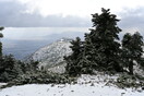 Κακοκαιρία: Διακόπηκε η κυκλοφορία οχημάτων στη λεωφόρο Φυλής