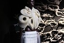 Iris van Herpen: Σμιλεύοντας τις αισθήσεις