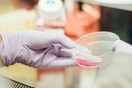 Επαναστατική εξέταση βρίσκει τον καρκίνο των ωοθηκών από τα ούρα