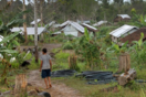 Παπούα Νέα Γουινέα: Τουλάχιστον 64 νεκροί σε σύγκρουση φυλών- Τι λένε οι αρχές