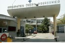 Μητέρα έδωσε ξανά ζωή στον γιο της - Του χάρισε το νεφρό της