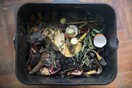 ΟΗΕ για food waste: Ένα δισεκατομμύριο γεύματα στα σκουπίδια, κάθε μέρα