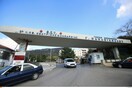 Θεσσαλονίκη: Δωρεά οργάνων από την οικογένεια 33χρονου - Σε Ιπποκράτειο, ΑΧΕΠΑ και Ωνάσειο οι μεταμοσχεύσεις