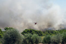 Φωτιά καίει δάσος στον Μύτικα Λακωνίας