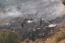Η φωτιά στο Άλσος Βεΐκου προκλήθηκε από βεγγαλικά που πέταξαν ανήλικοι