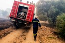 Καύσωνας: Πολύ υψηλός κίνδυνος πυρκαγιάς την Παρασκευή σε πέντε Περιφέρειες - Αναλυτικά ο χάρτης