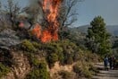 Φωτιά στην Ηλεία: Διακοπή κυκλοφορίας στη νέα Εθνική Οδό Πατρών-Πύργου 