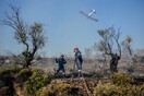 Φωτιά στην Ηλεία: Ένας νεκρός στη Μυρτιά