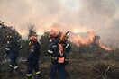 Φωτιές τώρα στην Ελλάδα: Μάχη με τις φλόγες σε Αχαΐα, Ασπρόπυργο και Άνδρο 