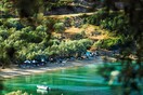 «Thessaly Evros Pass»: Ανοίγει σήμερα η πλατφόρμα για τις αιτήσεις