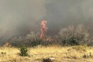 Oριοθετήθηκε η φωτιά στη Φέριζα