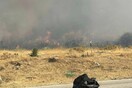 Φωτιά τώρα στην Φέριζα Κερατέας: Μήνυμα του 112