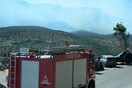 Πολύ υψηλός ο κίνδυνος φωτιάς και σήμερα - Σε επιφυλακή η Πυροσβεστική