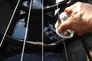 Fishy Democracy