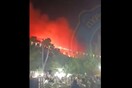 Ασύλληπτη αναισθησία στη Ζάκυνθο: Στο πανηγύρι χόρευαν «δώσε μου φωτιά» και πίσω καιγόταν το δάσος