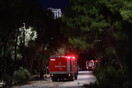 Φωτιά τώρα στη Θάσο μετά από κεραυνούς – Μεγάλη κινητοποίηση από την πυροσβεστική