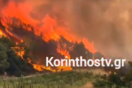 Εκτός ελέγχου η φωτιά στην Κορινθία - Πλησιάζει στη Νεμέα