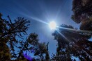 Καύσωνας: 42 βαθμούς έδειξε το θερμόμετρο στη βόρεια Ελλάδα