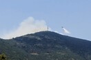Φωτιά καίει δάσος στις Ερυθρές Αττικής - Ενισχύονται συνεχώς οι πυροσβεστικές δυνάμεις