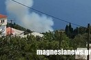 Φωτιά στο Πουρί Μαγνησίας
