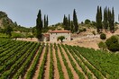 Κτήμα Μέγα Σπήλαιο/Οινοτουρισμός Μοναδικός προορισμός/ Σπάνια οινική εμπειρία