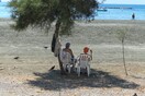 Περιστεράκια