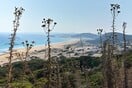 Οι άμμοι της Καρπασίας