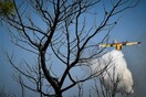 Φωτιά στη Θέρμη Θεσσαλονίκης - Μήνυμα ετοιμότητας από το 112 
