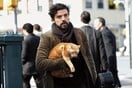 9 γάτες που έκλεψαν την παράσταση στο σινεμά