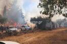Φωτιά τώρα στην Εύβοια: 112 για την Ερέτρια