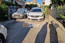 Γυναικοκτονία στη Λαμία: Σκότωσε τη σύζυγό του και αυτοκτόνησε