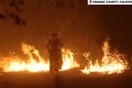 Καλιφόρνια: Γυναίκα «βγαίνει» από τη φωτιά και περπατώντας προς τους πυροσβέστες