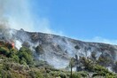 Φωτιά στη Ρόδο: Καλύτερη η εικόνα του μετώπου - Ενισχύθηκαν οι εναέριες δυνάμεις